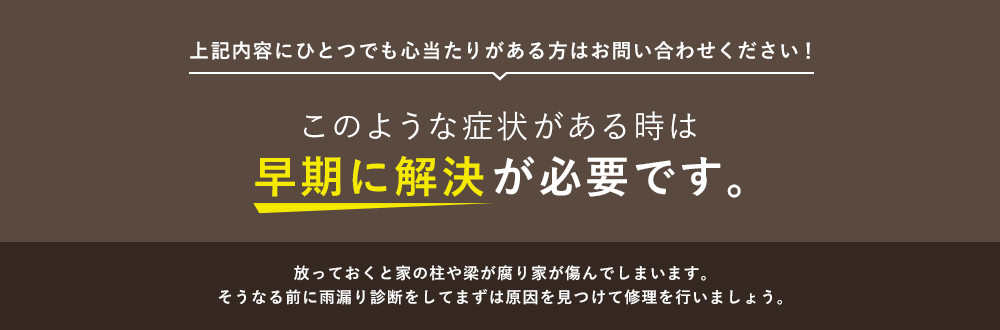 雨漏り診断