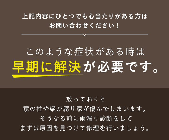 雨漏り診断